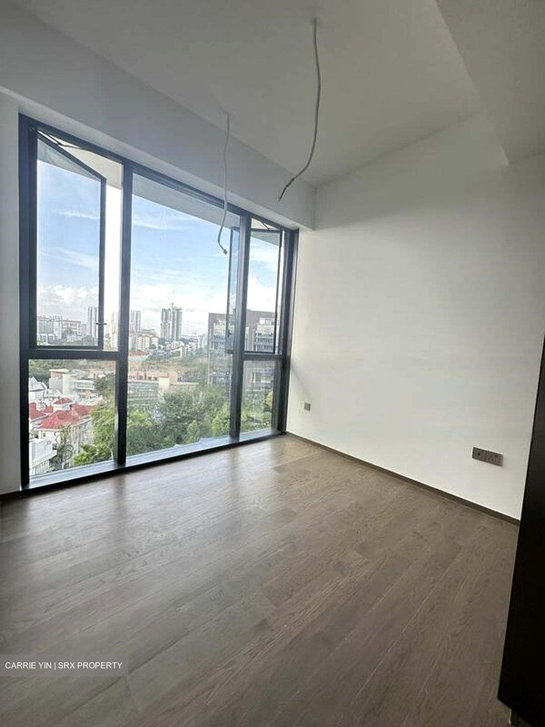 Leedon Green (D10), Condominium #593646741